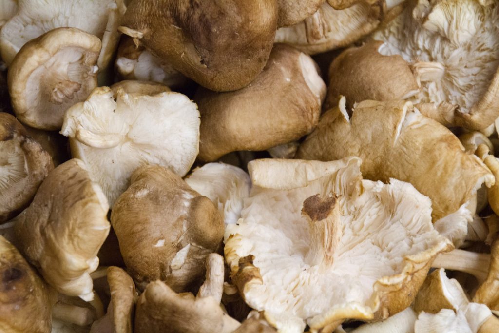 Shiitake mushrooms in the market.